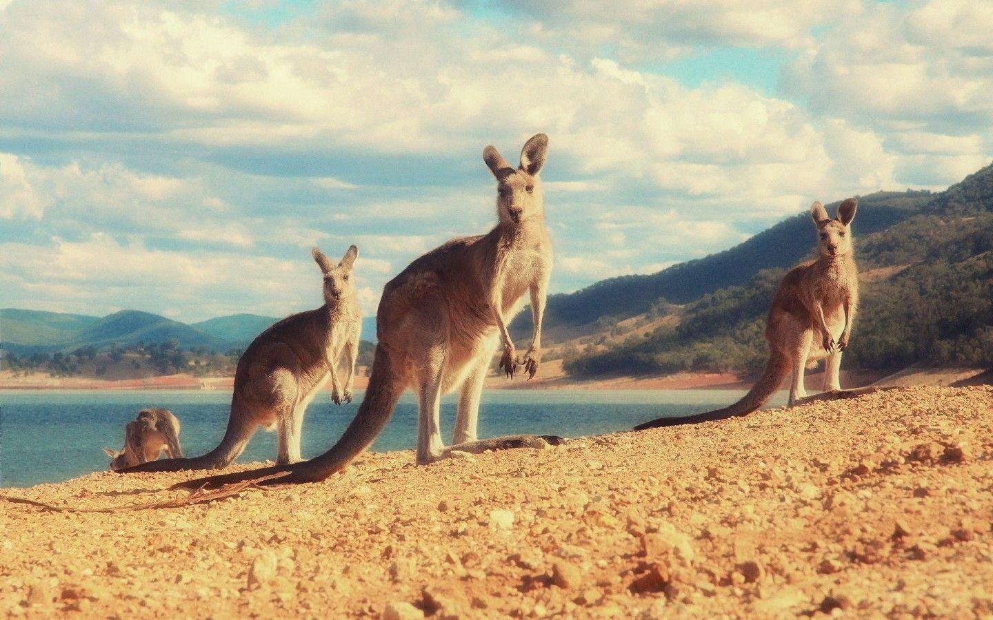 Australia
